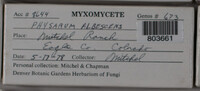 Image Associated With the Occurence